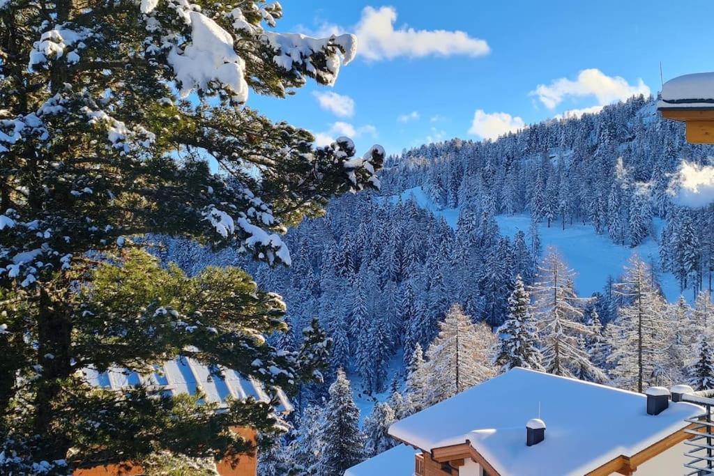 Idyllische Zirbenholz Alpin Huette Villa Turracher Hohe Exterior foto